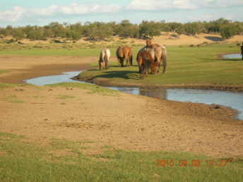 culture_tour_photo_mongolia (17)